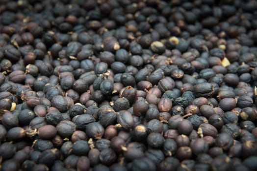 Coffee beans dried in the sun before roast