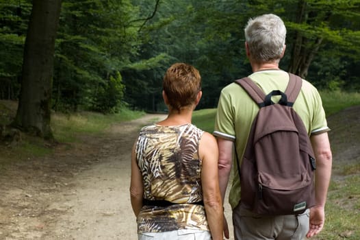 Senior couple hiking in the woods