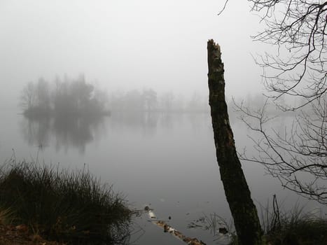 Spooky misty morning above a lake in Holland