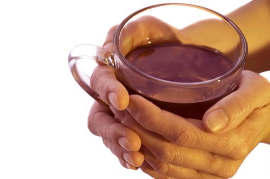 Two hands holding a cup of tea. Isolated on white.