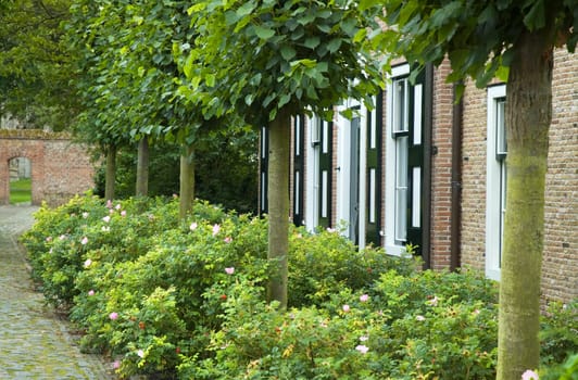 Couple of Dutch houses (in Zeeland) in a nice scenery.