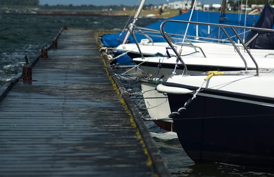 Front of ships lying in a Dutch harbour
