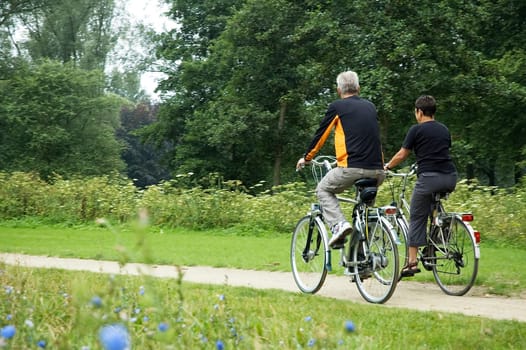 Active seniors biking in the park, from behind.