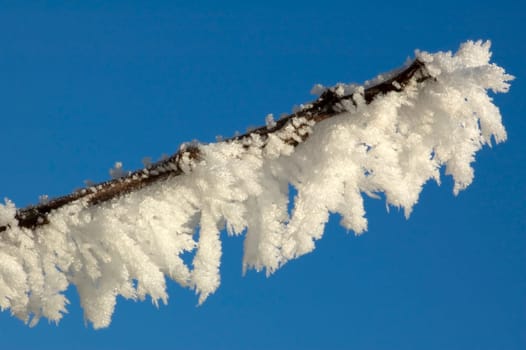 Macro of a twig with hoarfrost against a clea blue sky, to be used as copy space.