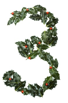 Holly Leaves with berry's in the form of the digit three. Isolated on white.