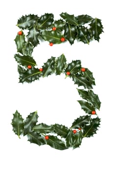 Holly Leaves with berry's in the form of the digit five. Isolated on white.