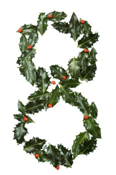 Holly Leaves with berry's in the form of the digit eight. Isolated on white.