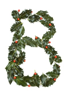 Holly Leaves with berry's in the form of the letter B. Isolated on white.