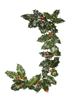 Holly Leaves with berry's in the form of the letter J. Isolated on white.