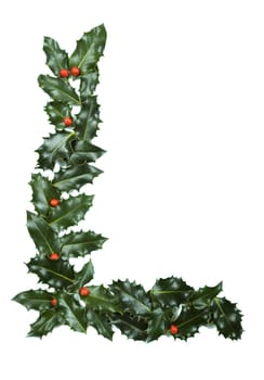 Holly Leaves with berry's in the form of the letter L. Isolated on white.