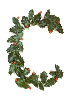 Holly Leaves with berry's in the form of the letter C. Isolated on white.