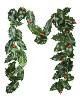 Holly Leaves with berry's in the form of the letter M. Isolated on white.