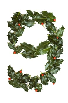 Holly Leaves with berry's in the form of the digit nine. Isolated on white.