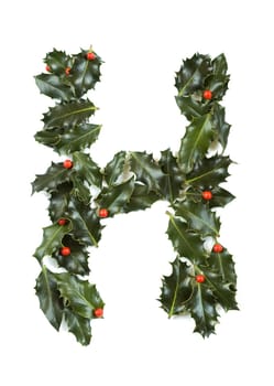 Holly Leaves with berry's in the form of the letter H. Isolated on white.