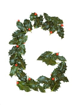 Holly Leaves with berry's in the form of the letter G. Isolated on white.
