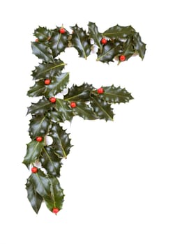 Holly Leaves with berry's in the form of the letter F. Isolated on white.