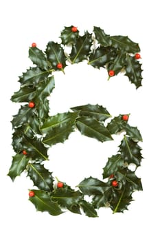 Holly Leaves with berry's in the form of the digit six. Isolated on white.