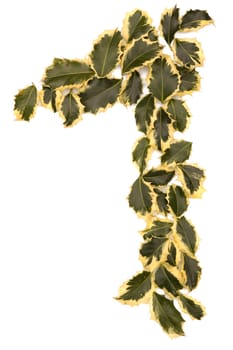 Holly Leaves in the form of the digit one. Isolated on white.