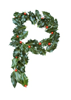 Holly Leaves with berry's in the form of the letter P. Isolated on white.