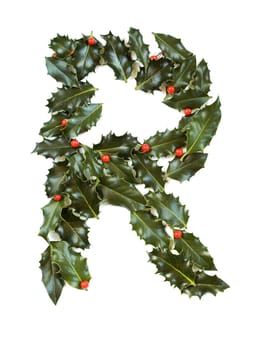 Holly Leaves with berry's in the form of the letter R. Isolated on white.