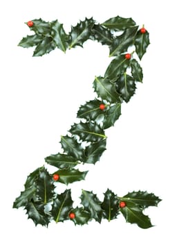 Holly Leaves with berry's in the form of the letter Z. Isolated on white.