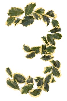 Holly Leaves in the form of the digit three. Isolated on white.
