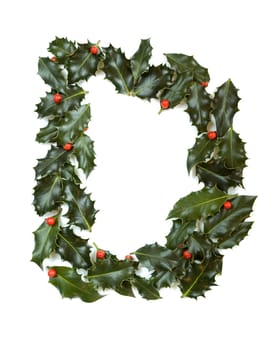 Holly Leaves with berry's in the form of the letter D. Isolated on white.