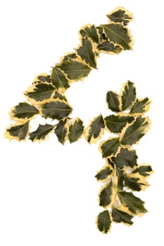 Holly Leaves in the form of the digit four. Isolated on white.