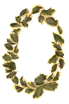 Holly Leaves in the form of the digit zero. Isolated on white.