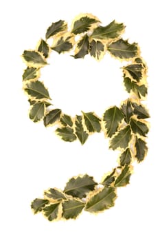 Holly Leaves in the form of the digit nine. Isolated on white.