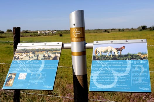 Signaling on the way Vaccarès Camargue explaining Camargue horses nicknamed the sea horse, companion Guardian.