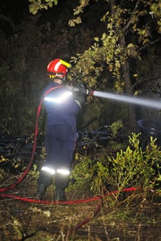 Firefighter in the French Gard department extinguished the last flames of a forest fire
