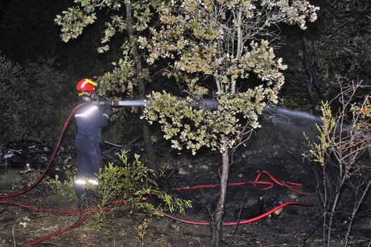 Firefighter in the French Gard department extinguished the last flames of a forest fire