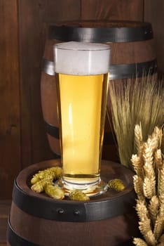 Beer glass with beer barrels,wheat,barley,hops and malt