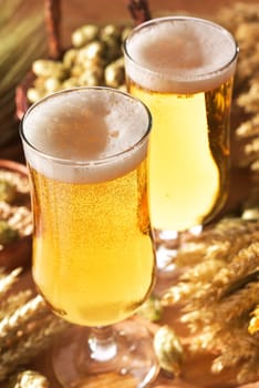 two beer glasses with wheat,barley,hops and malt