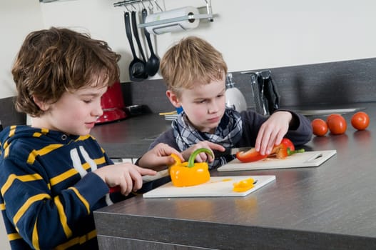 Two boys cutting some red and yellow peppers, used for cooking.