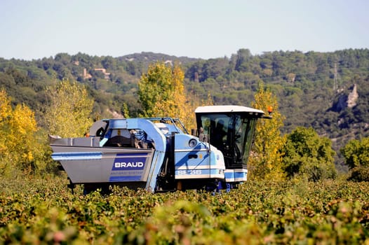The harvest with machines to harvest the grapes in France in the department of Gard.