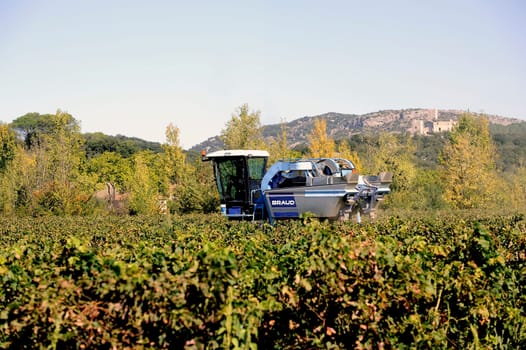 The harvest with machines to harvest the grapes in France in the department of Gard.