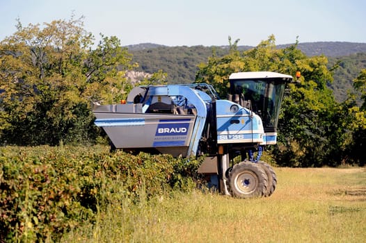 The harvest with machines to harvest the grapes in France in the department of Gard.