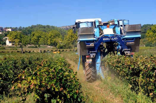 The harvest with machines to harvest the grapes in France in the department of Gard.