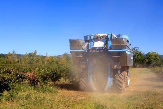 The harvest with machines to harvest the grapes in France in the department of Gard.