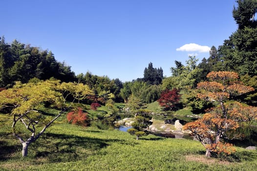 Japanese Garden Park Anduze bamboo where almost all species are represented and promoted in an Asian garden