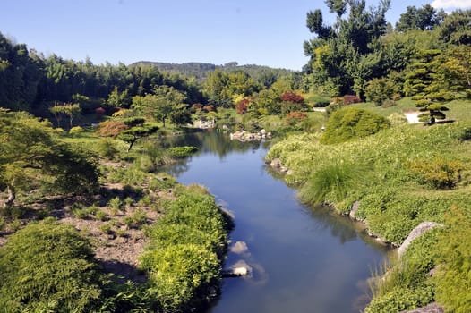 Japanese Garden Park Anduze bamboo where almost all species are represented and promoted in an Asian garden