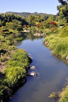 Japanese Garden Park Anduze bamboo where almost all species are represented and promoted in an Asian garden