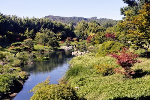 Japanese Garden Park Anduze bamboo where almost all species are represented and promoted in an Asian garden
