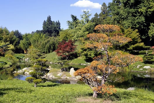Japanese Garden Park Anduze bamboo where almost all species are represented and promoted in an Asian garden
