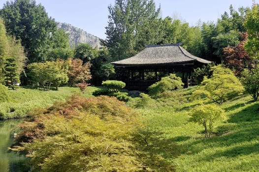 Japanese Garden Park Anduze bamboo where almost all species are represented and promoted in an Asian garden