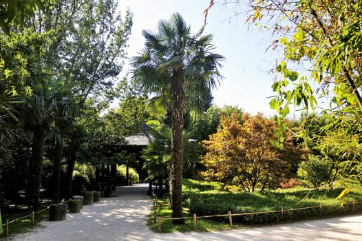 Japanese Garden Park Anduze bamboo where almost all species are represented and promoted in an Asian garden