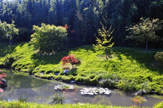 Japanese Garden Park Anduze bamboo where almost all species are represented and promoted in an Asian garden