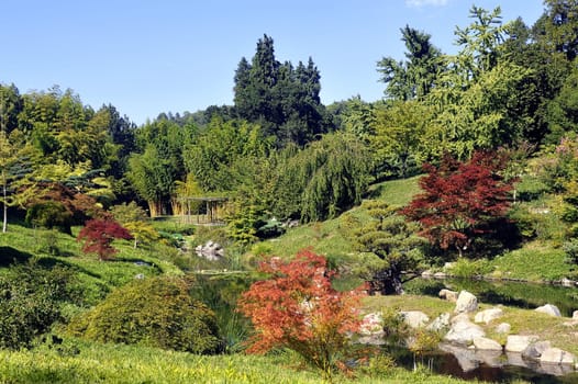 Japanese Garden Park Anduze bamboo where almost all species are represented and promoted in an Asian garden